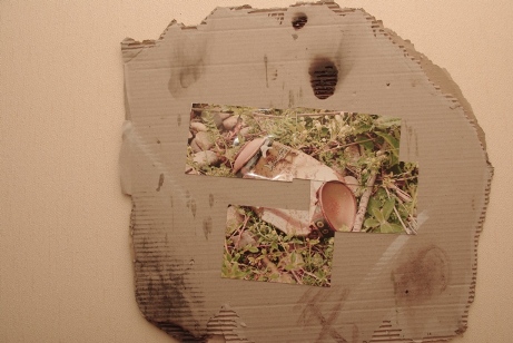 Photo de l oeuvre:Ex'Spray