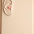 miniature :Oreille